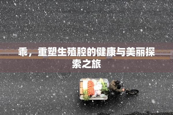 乖，重塑生殖腔的健康与美丽探索之旅