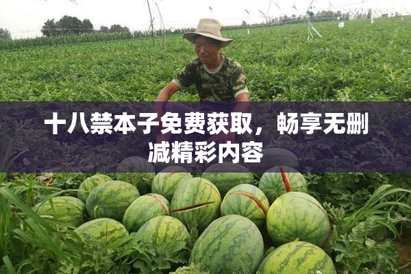 十八禁本子免费获取，畅享无删减精彩内容