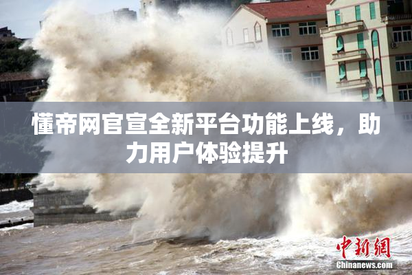 懂帝网官宣全新平台功能上线，助力用户体验提升