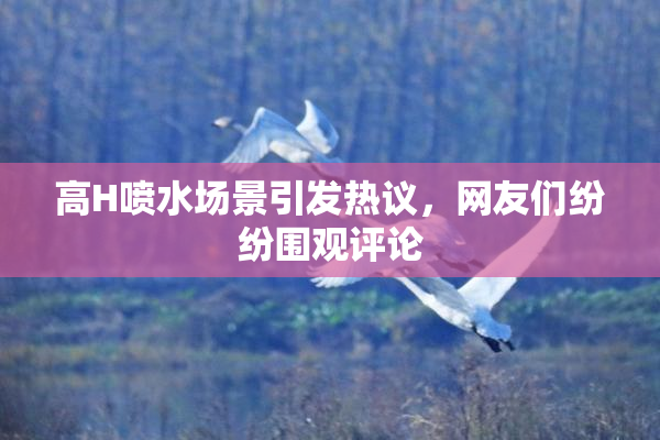 高H喷水场景引发热议，网友们纷纷围观评论