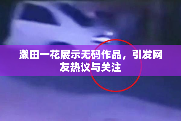 濑田一花展示无码作品，引发网友热议与关注