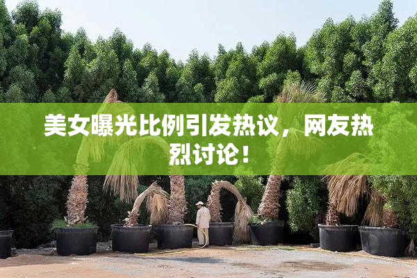 美女曝光比例引发热议，网友热烈讨论！