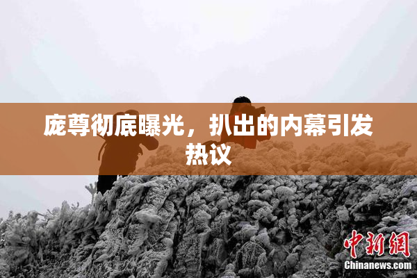 庞尊彻底曝光，扒出的内幕引发热议