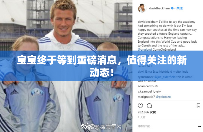 宝宝终于等到重磅消息，值得关注的新动态！