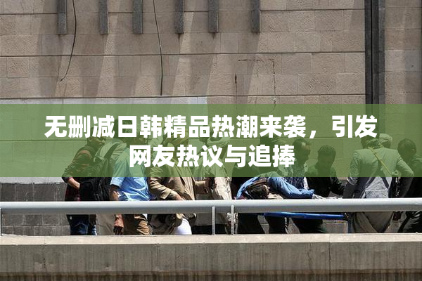 无删减日韩精品热潮来袭，引发网友热议与追捧