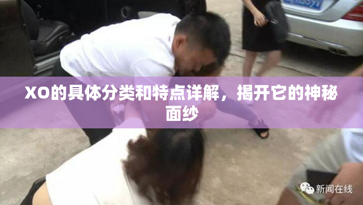 XO的具体分类和特点详解，揭开它的神秘面纱
