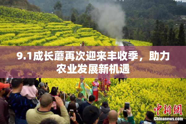9.1成长蘑再次迎来丰收季，助力农业发展新机遇