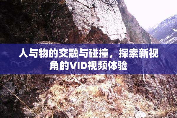 人与物的交融与碰撞，探索新视角的VID视频体验