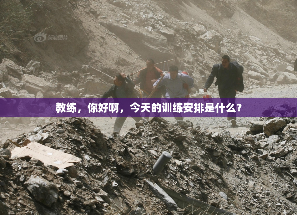 教练，你好啊，今天的训练安排是什么？