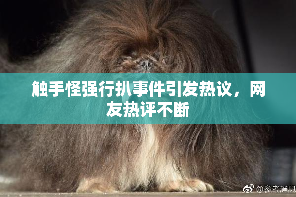 触手怪强行扒事件引发热议，网友热评不断