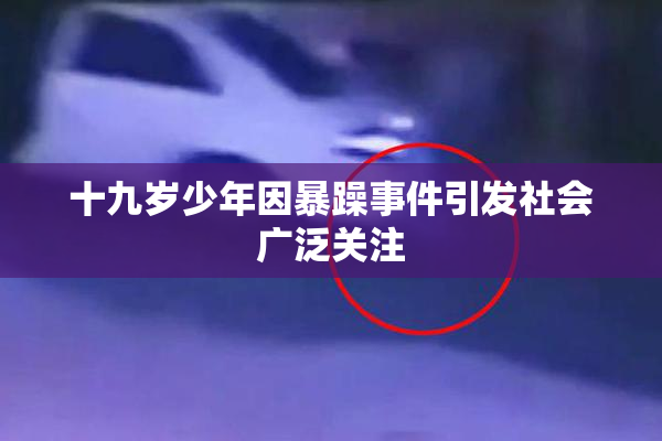 十九岁少年因暴躁事件引发社会广泛关注