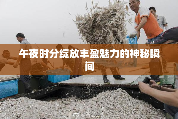午夜时分绽放丰盈魅力的神秘瞬间