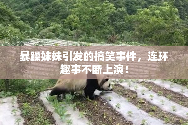 暴躁妹妹引发的搞笑事件，连环趣事不断上演！