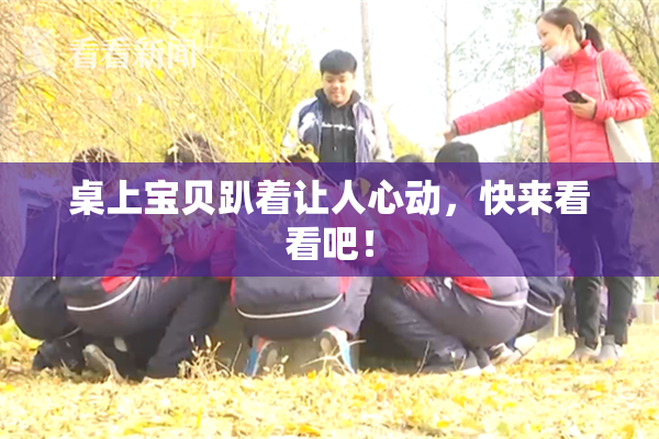 桌上宝贝趴着让人心动，快来看看吧！