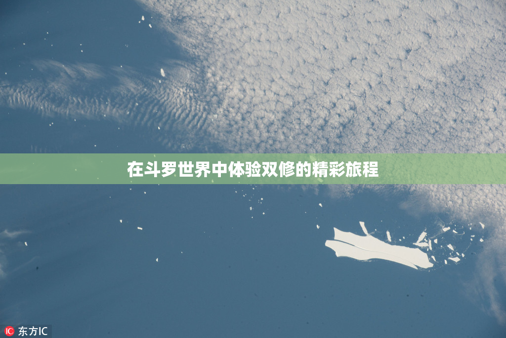 在斗罗世界中体验双修的精彩旅程