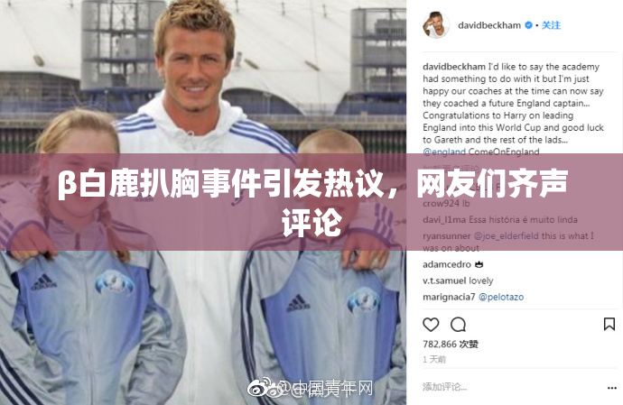 β白鹿扒胸事件引发热议，网友们齐声评论