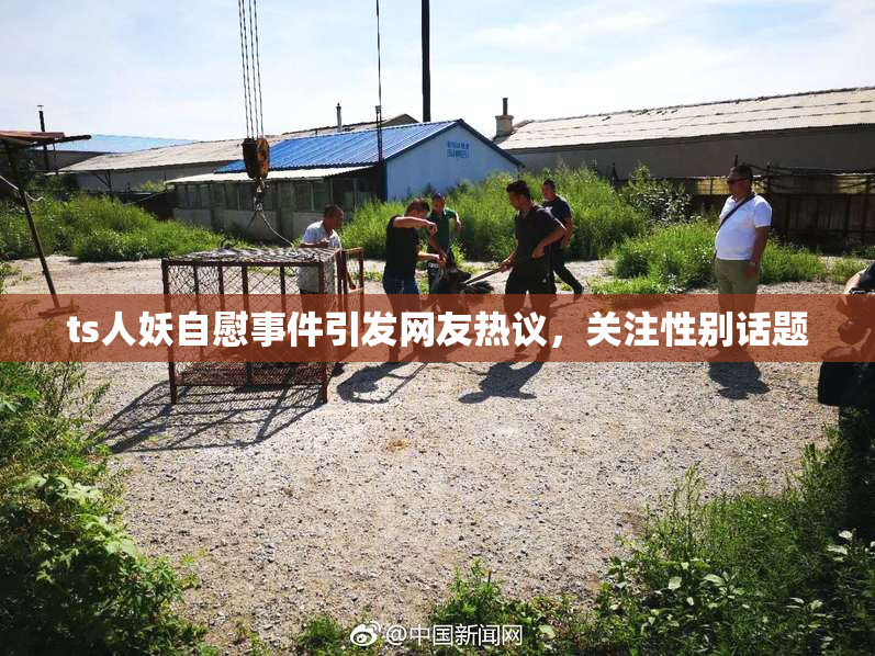 ts人妖自慰事件引发网友热议，关注性别话题