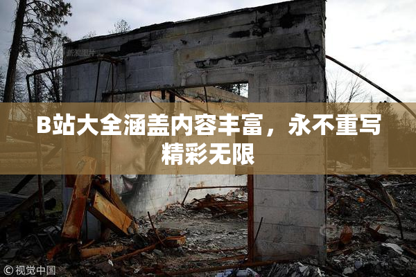 B站大全涵盖内容丰富，永不重写精彩无限