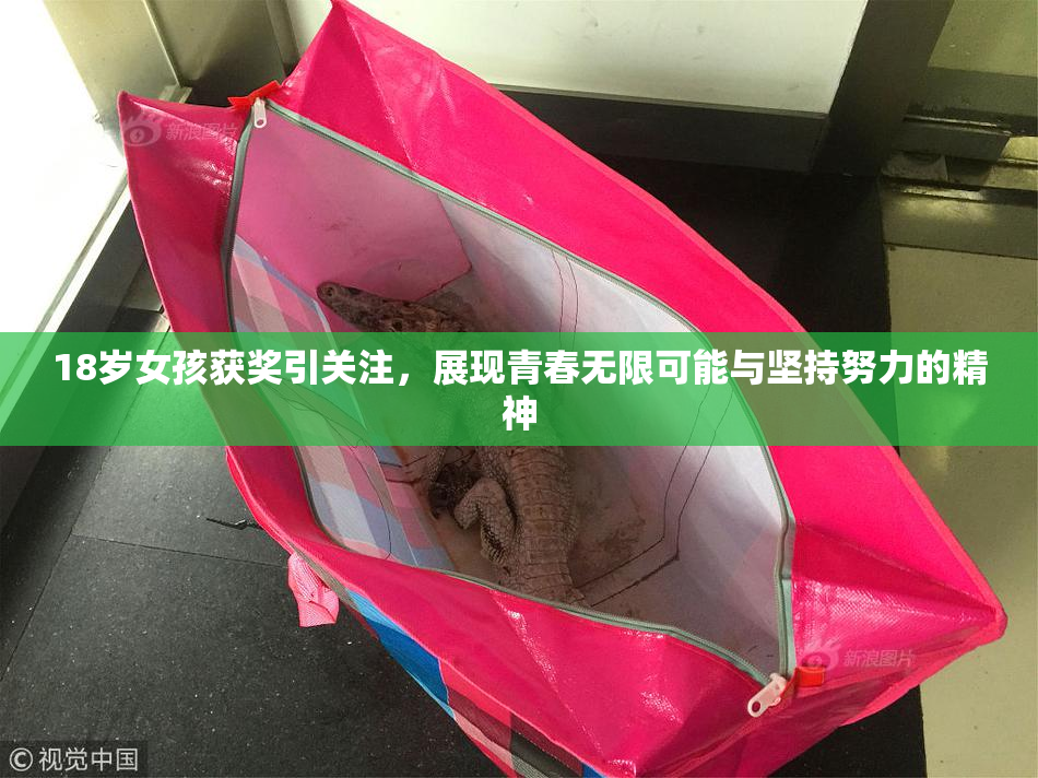 18岁女孩获奖引关注，展现青春无限可能与坚持努力的精神
