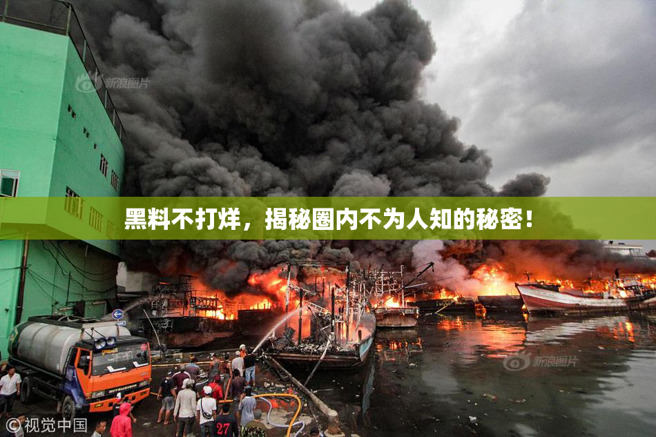 黑料不打烊，揭秘圈内不为人知的秘密！