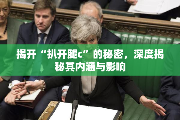 揭开“扒开腿c”的秘密，深度揭秘其内涵与影响
