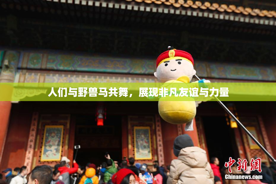 人们与野兽马共舞，展现非凡友谊与力量