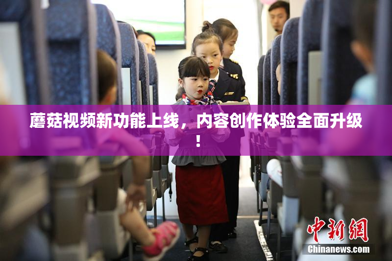 蘑菇视频新功能上线，内容创作体验全面升级！