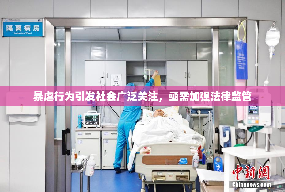 暴虐行为引发社会广泛关注，亟需加强法律监管