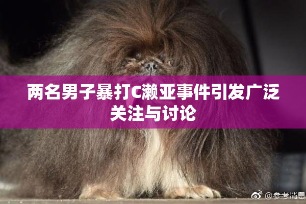 两名男子暴打C濑亚事件引发广泛关注与讨论