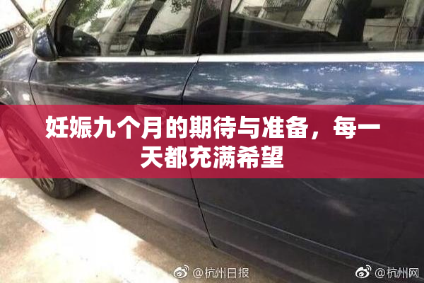 妊娠九个月的期待与准备，每一天都充满希望