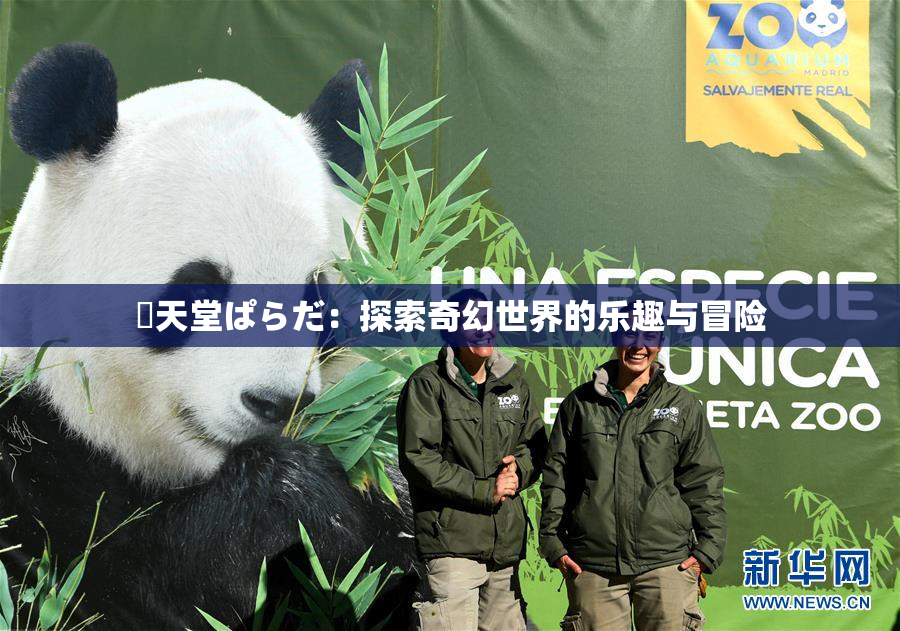 妺天堂ぱらだ：探索奇幻世界的乐趣与冒险