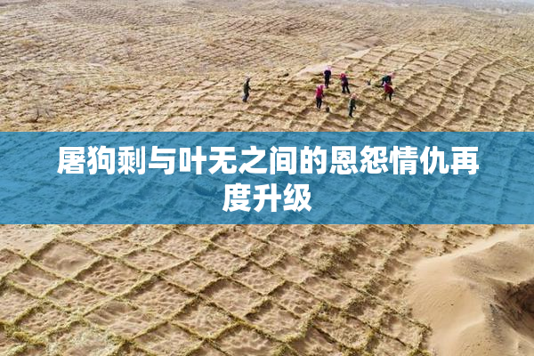 屠狗剩与叶无之间的恩怨情仇再度升级