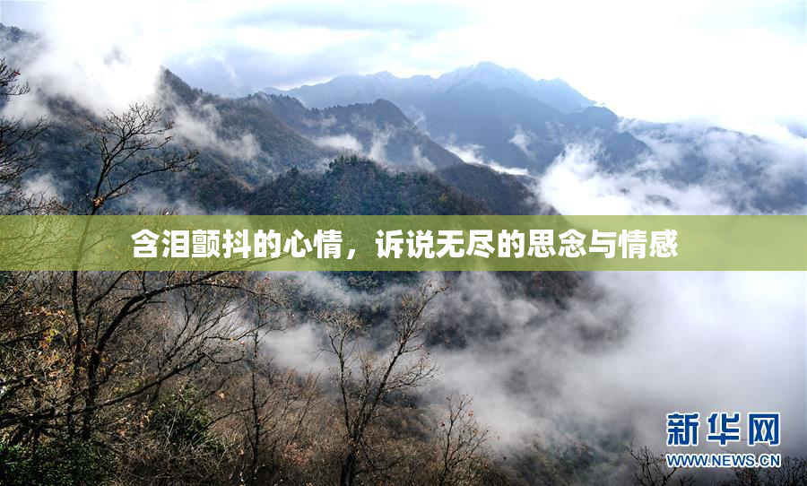 含泪颤抖的心情，诉说无尽的思念与情感