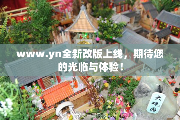 www.yn全新改版上线，期待您的光临与体验！