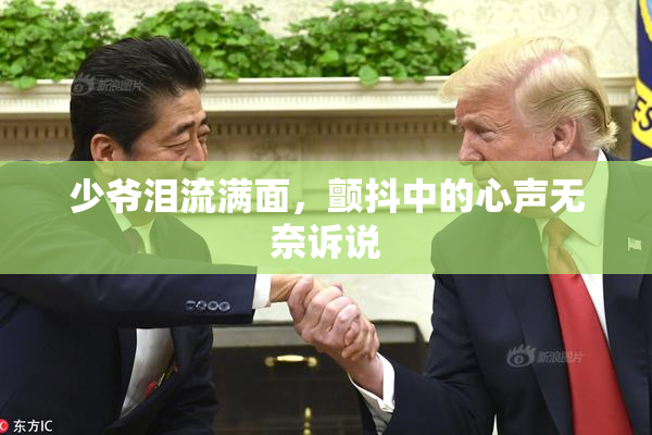 少爷泪流满面，颤抖中的心声无奈诉说