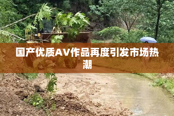 国产优质AV作品再度引发市场热潮