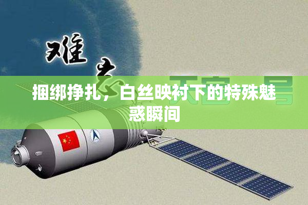 捆绑挣扎，白丝映衬下的特殊魅惑瞬间