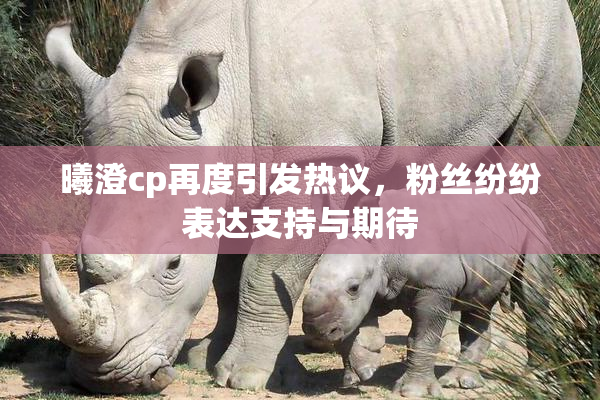 曦澄cp再度引发热议，粉丝纷纷表达支持与期待