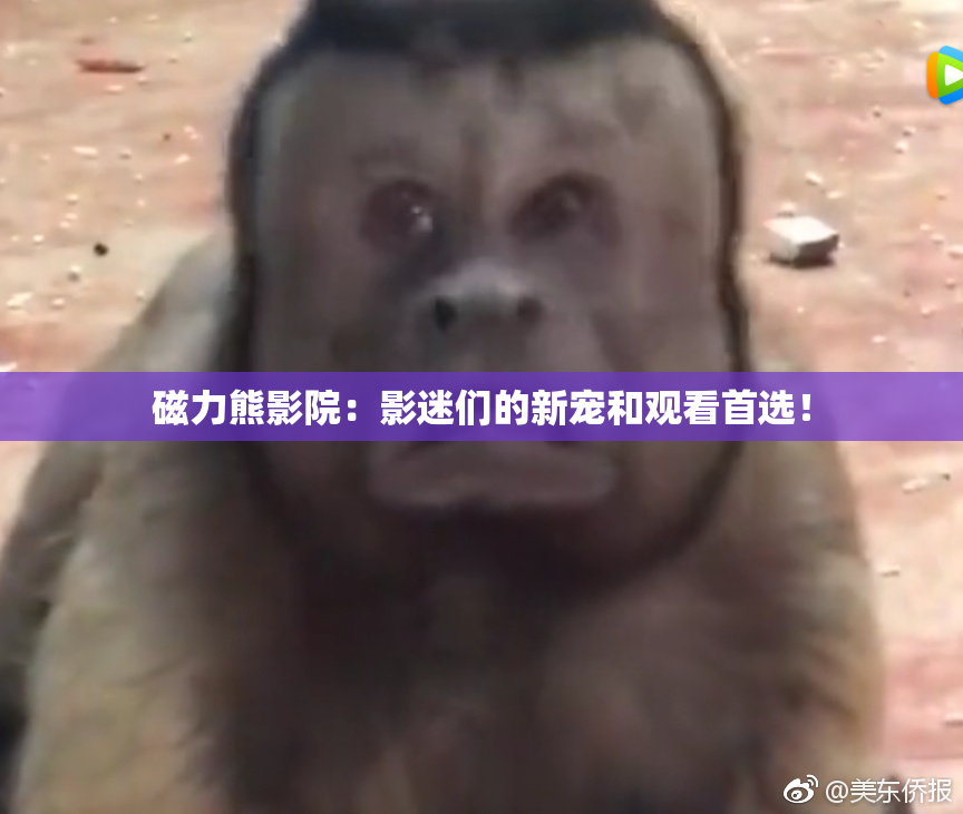 磁力熊影院：影迷们的新宠和观看首选！