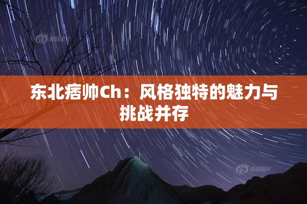 东北痞帅Ch：风格独特的魅力与挑战并存