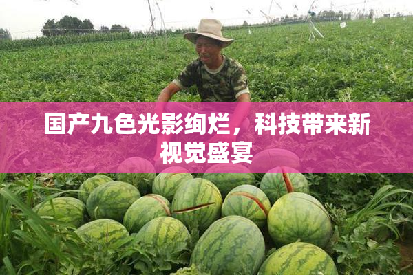 国产九色光影绚烂，科技带来新视觉盛宴