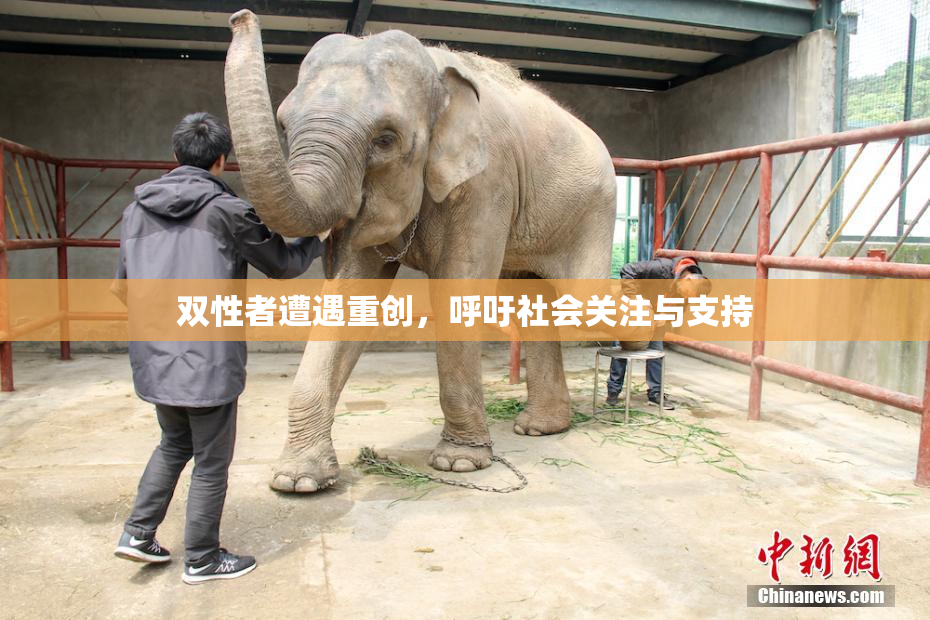 双性者遭遇重创，呼吁社会关注与支持