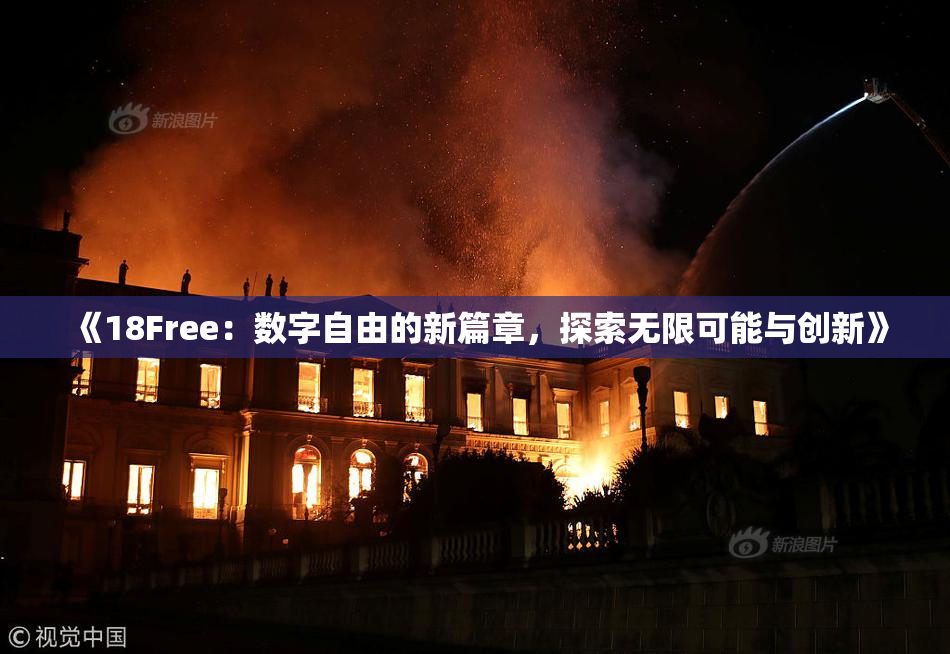 《18Free：数字自由的新篇章，探索无限可能与创新》