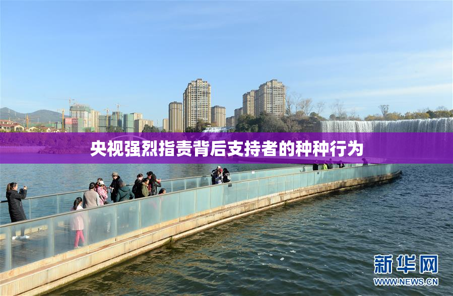 央视强烈指责背后支持者的种种行为