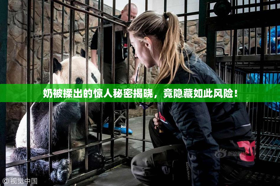 奶被揉出的惊人秘密揭晓，竟隐藏如此风险！