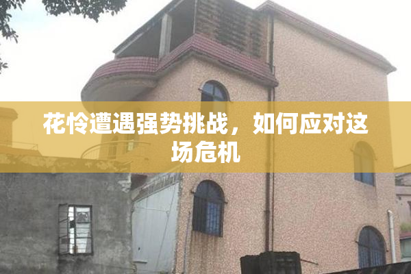 花怜遭遇强势挑战，如何应对这场危机