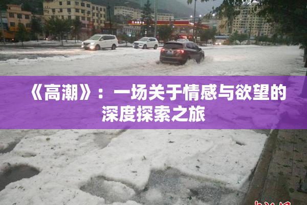 《高潮》：一场关于情感与欲望的深度探索之旅