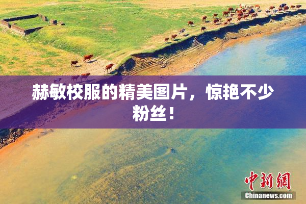 赫敏校服的精美图片，惊艳不少粉丝！