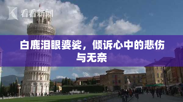 白鹿泪眼婆娑，倾诉心中的悲伤与无奈