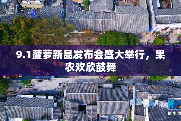 9.1菠萝新品发布会盛大举行，果农欢欣鼓舞